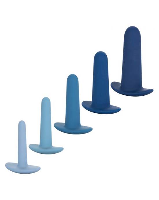 Theyology 5Piece Wearable Anal Training Set