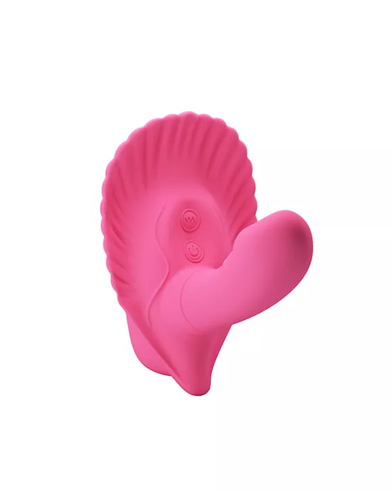 The FANCY CLAMSHELL