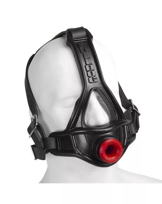 BULLDOG head harness gag
