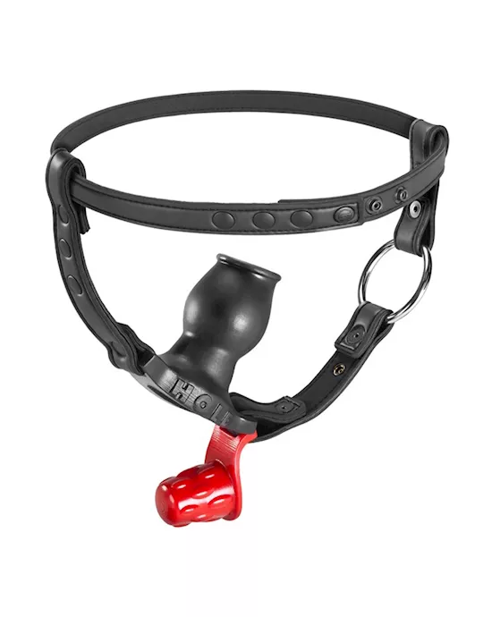 Hole Harness with Plug