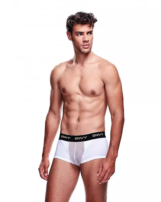 Envy Mesh Short Boxer
