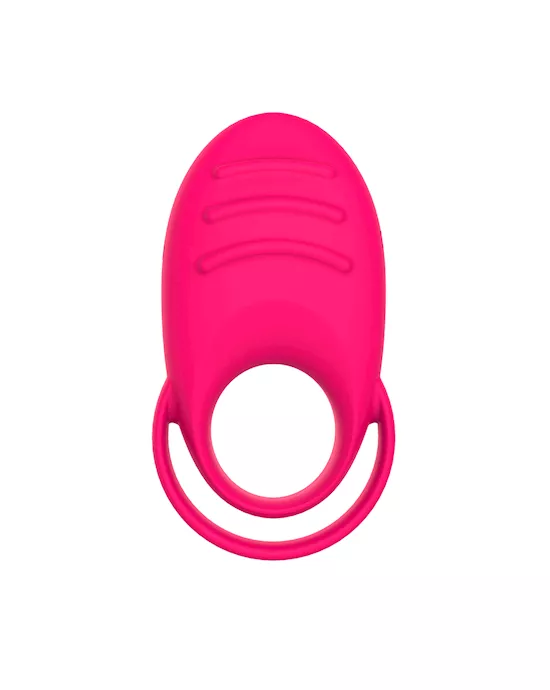 Legge Double Erection Ring