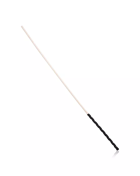Disciple Cane