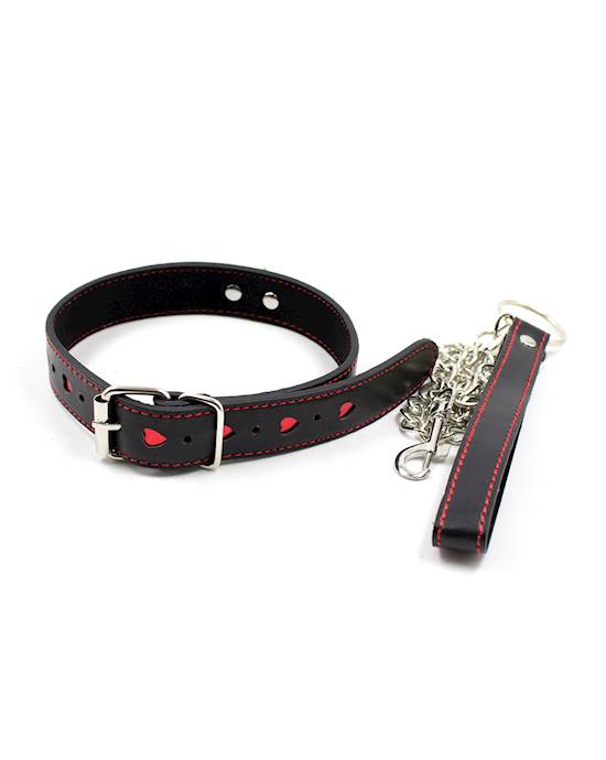 Full Control Collar and Leash