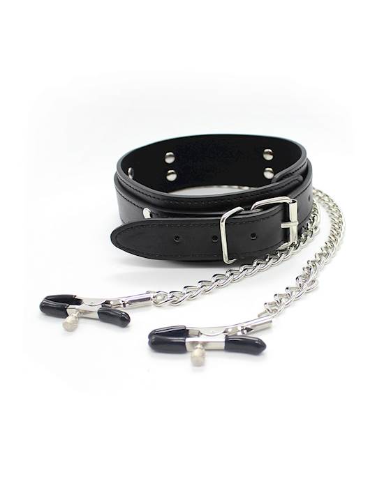 Juicer Collar And Nipple Clamps