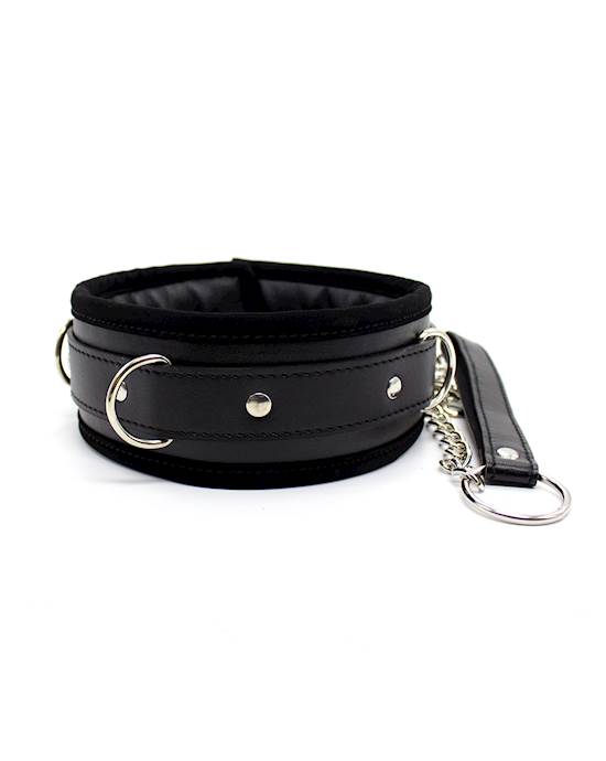 Soft Padded Collar And Leash