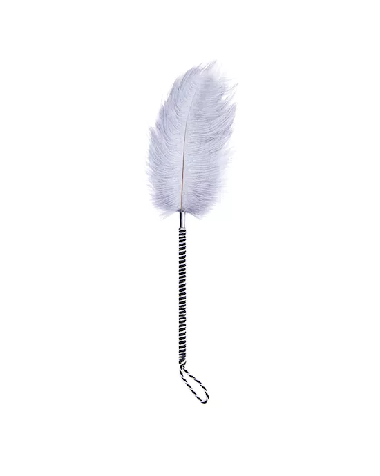 Plume Tickler