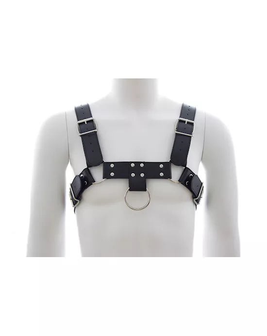 Chest Harness