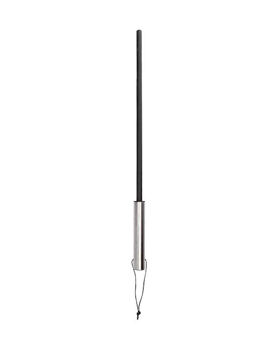 Cane With Stainless Steel Handle