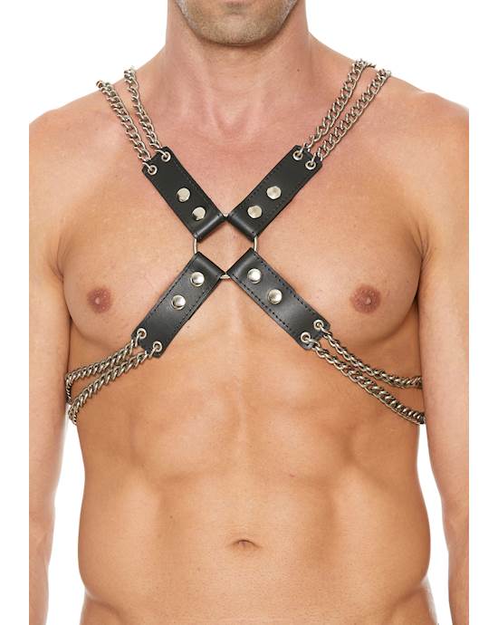 Chain And Chain Harness