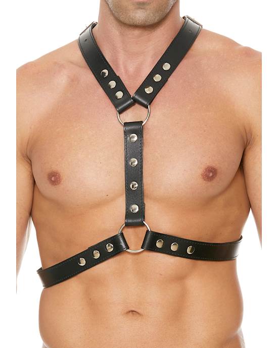 Leather Harness With Metal Snaps
