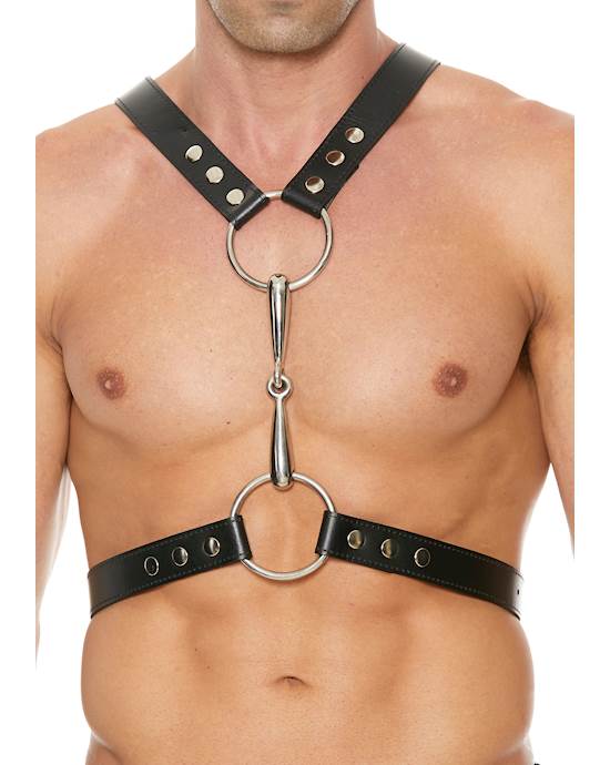 Leather Harness With Metal Bit