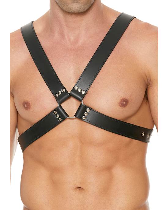 Mens 175 inch Large Buckle Harness