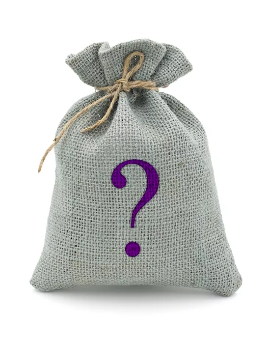 Mystery Bag  Role Play