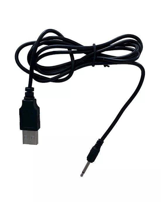 Share Satisfaction USB Pin Charger
