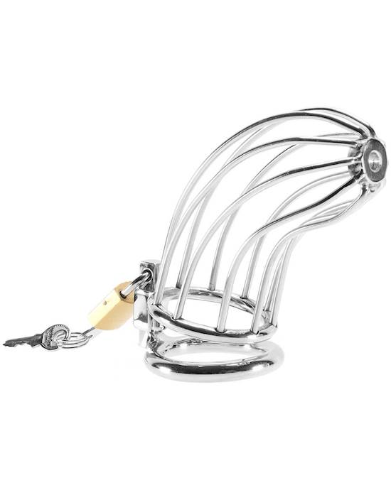 Rouge Cell Chastity Cock Cage