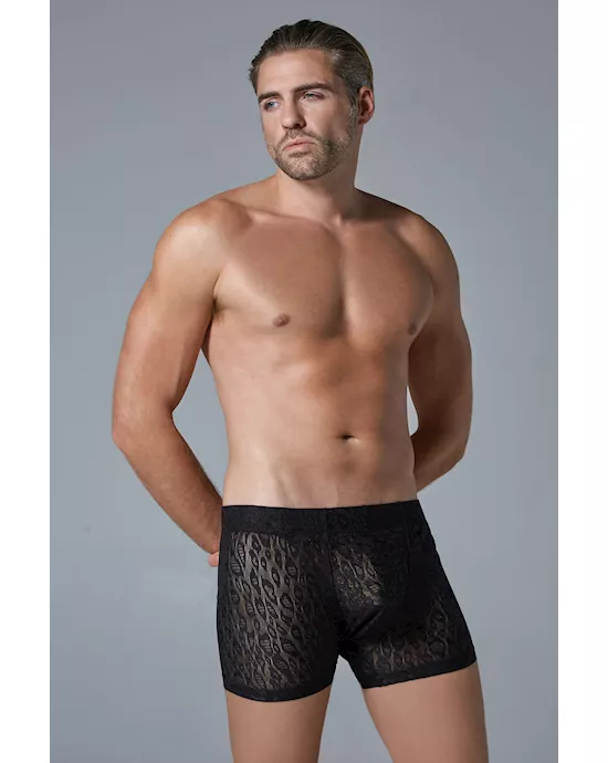 Luca Leopard Boxer