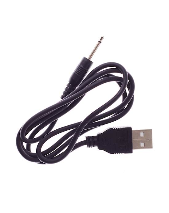 Pin Style Replacement Charger