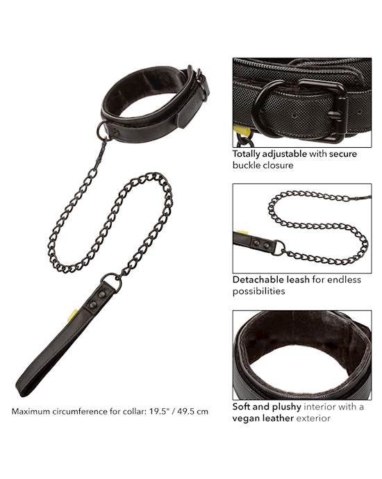 Boundless Collar And Leash