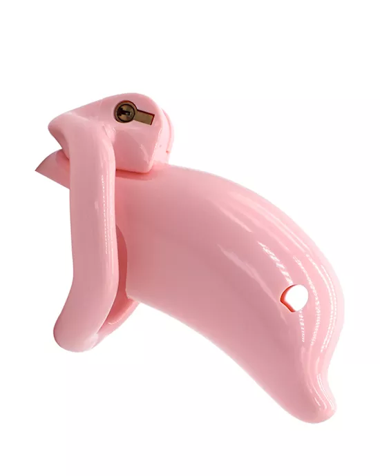 KinKi Dolphin Chastity Cage