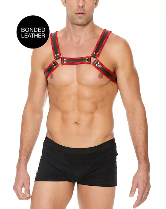 Z Series Chest Bulldog Harness