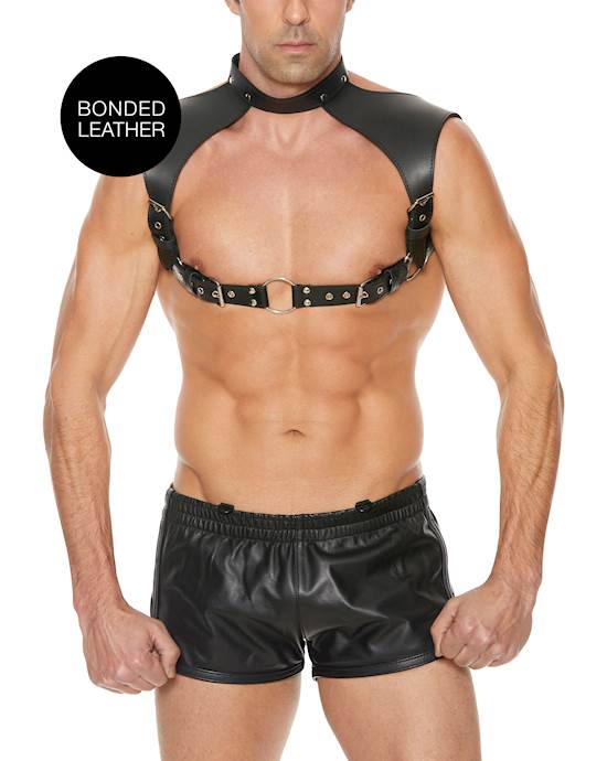 Mens Harness with Neck Collar
