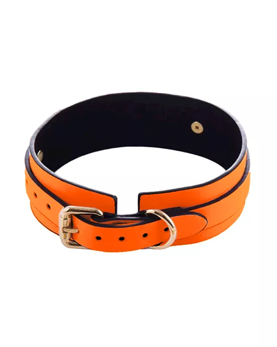 Luminated Glow in the Dark Collar