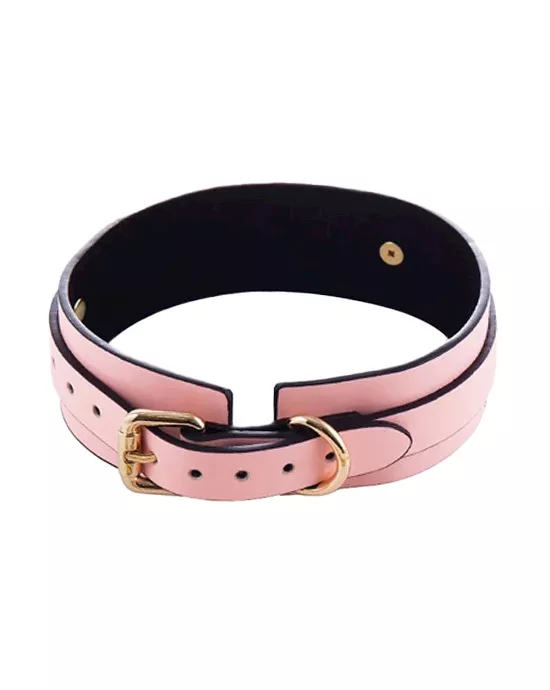 Luminated Glow in the Dark Collar