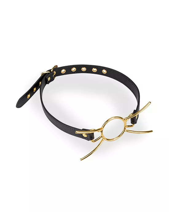 Golden Spider Gag