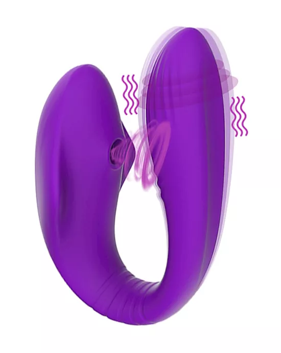 Remote Controlled Dual Vibrator
