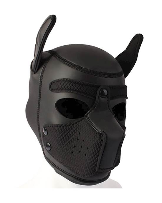 Obedience Training BDSM Pup Mask