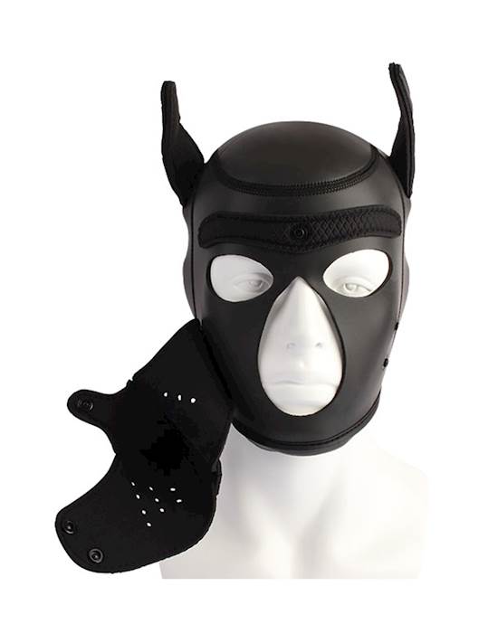 Obedience Training Bdsm Pup Mask