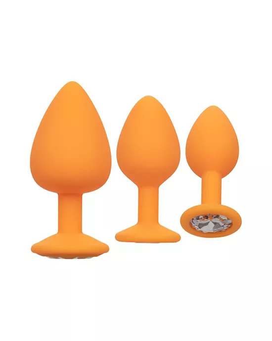 Cheeky Gems Butt Plug Set