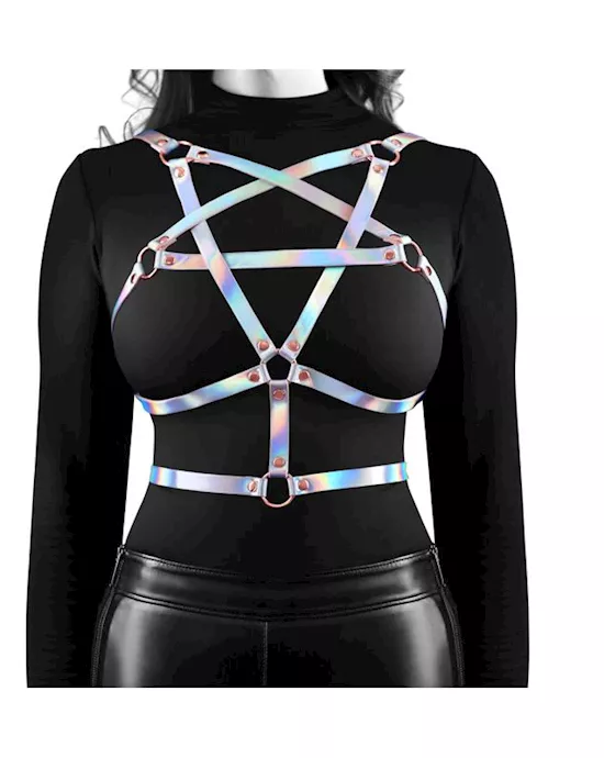Cosmo Harness Risque SM