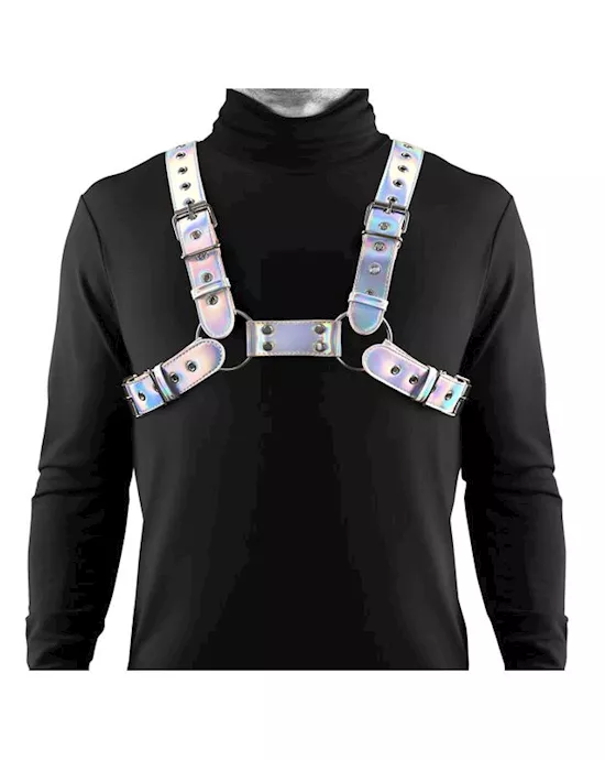 Cosmo Harness Rogue SM