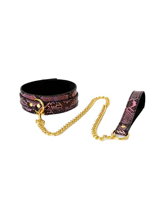 Share Satisfaction SnakePrint Collar with Leash