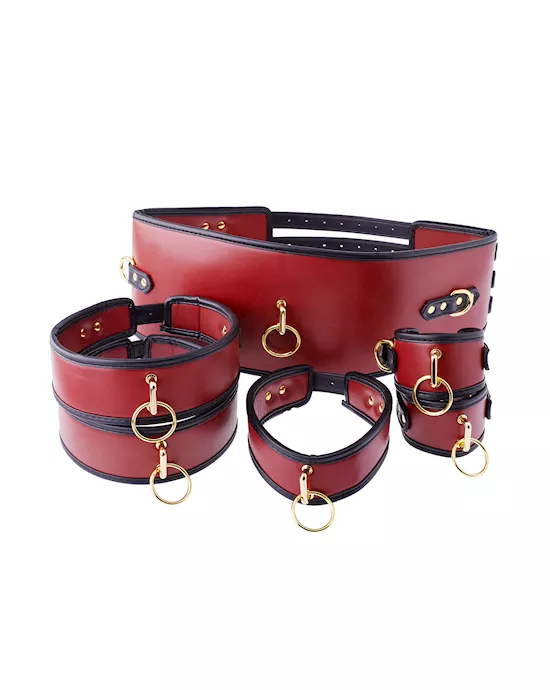 Premium Full Restraint Set