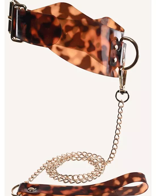 Amber Collar and Leash