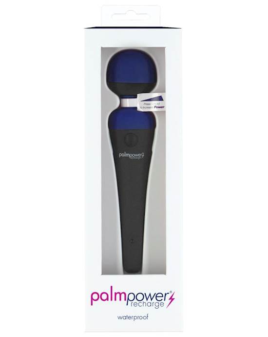 Palm Power Rechargeable Blue