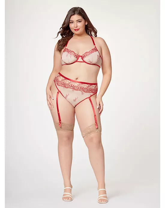 Sheer Elegance Two Piece Bra Set STM11484XRed3X4X