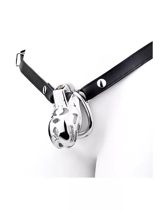 Containment Cell Stainless Steel Chastity Cage with Belt