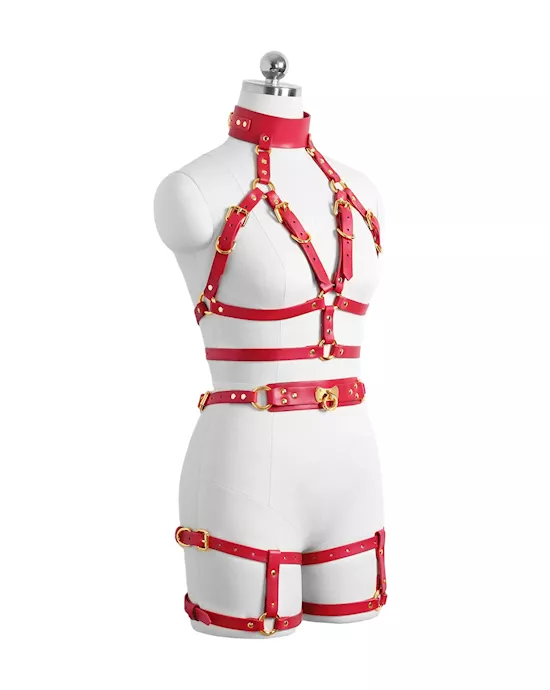 Chyna Modern StraightJacket Slim Fit