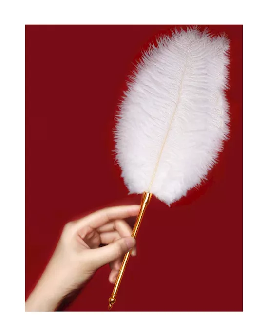 Flirty Feather Tickler