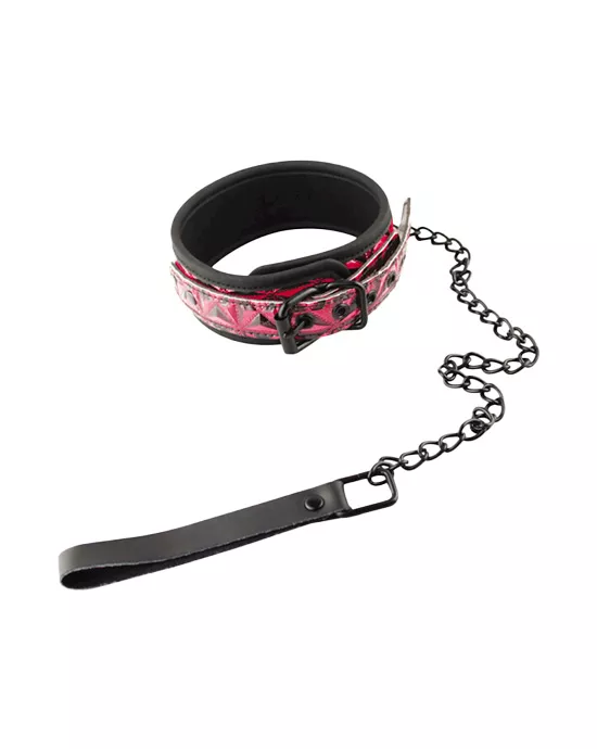 Owned Pyramid Pattern Collar and Leash