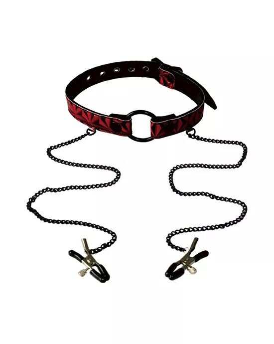 Open Wide Pyramid Pattern ORing Gag with Clips