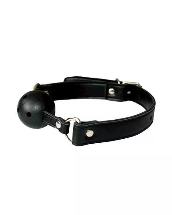 Discipline Ball Gag