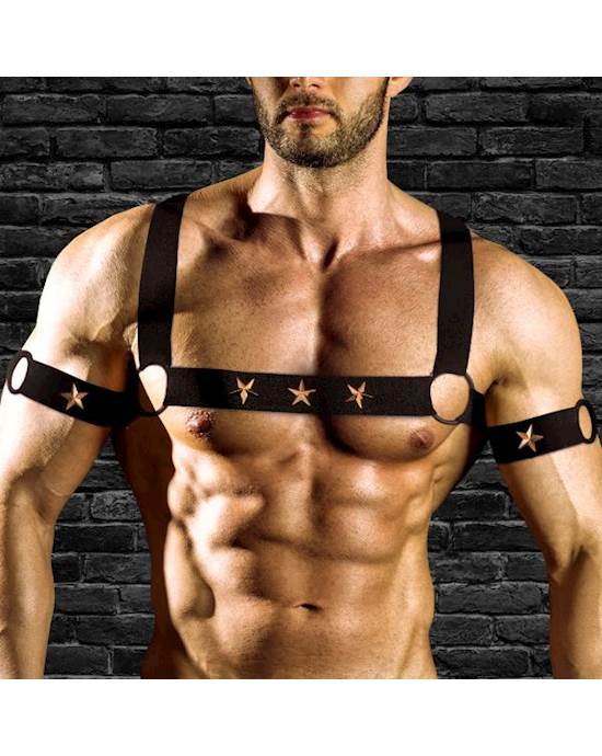 Ms Rave Chest Harness S/m Blk/gld