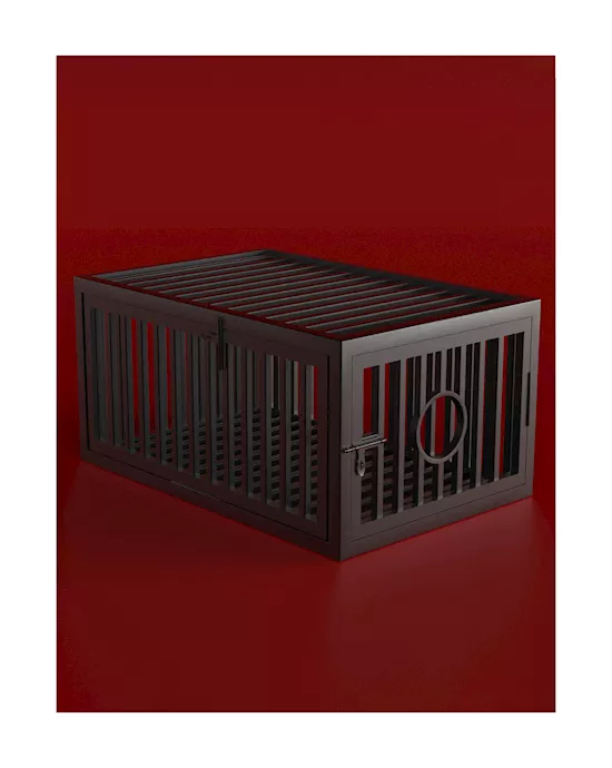Captivity Prisoners Cage