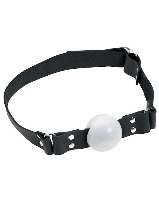 175 Plastic Ball Gag With D Ring