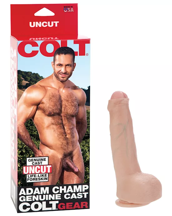 Colt Adam Champ Cock
